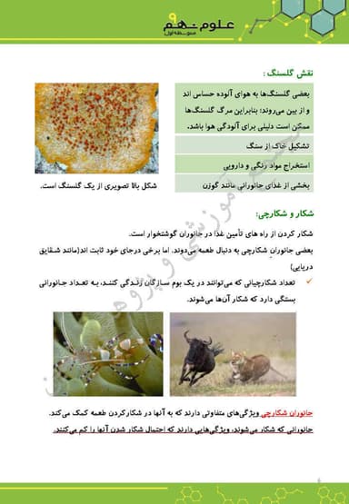 تصویر محصول خلاصه نکات علوم تجربی فصل پانزدهم: باهم زیستن نهم متوسطه اول