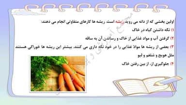 تصویر محصول خلاصه نکات علوم تجربی درس11: بكارید و ببينيد سوم ابتدایی