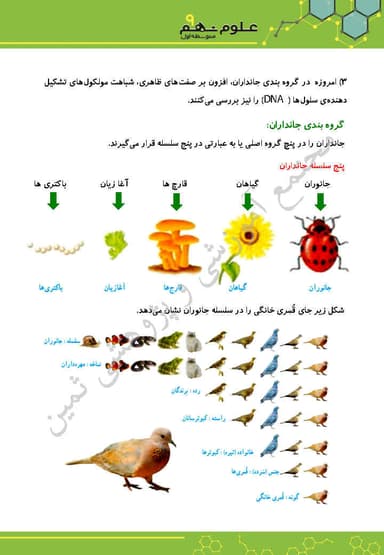 تصویر محصول خلاصه نکات علوم تجربی فصل یازدهم: گوناگونی جانداران نهم متوسطه اول