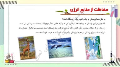 مشاهده جزئیات محصول خلاصه نکات علوم تجربی درس سیزدهم: زیستگاه چهارم ابتدایی تصویر محصول خلاصه نکات علوم تجربی درس سیزدهم: زیستگاه چهارم ابتدایی