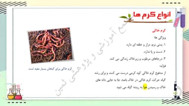 مشاهده جزئیات محصول خلاصه نکات علوم تجربی درس یازدهم: بی مهره ها چهارم ابتدایی تصویر محصول خلاصه نکات علوم تجربی درس یازدهم: بی مهره ها چهارم ابتدایی