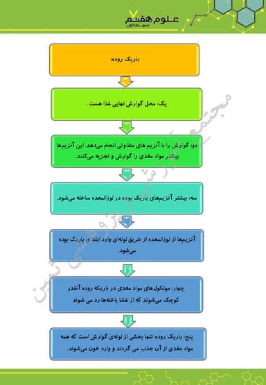مشاهده جزئیات محصول خلاصه نکات علوم تجربی هفتم فصل 13 (سفر غذا) / متوسطه اول 1404 تصویر محصول خلاصه نکات علوم تجربی هفتم فصل 13 (سفر غذا) / متوسطه اول 1404
