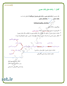 نکات و خلاصه زیست شناسی یازدهم،نکات فصل اول زیست شناسی یازدهم،جزوه فصل اول زیست شناسی یازدهم