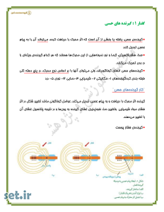 نکات و خلاصه زیست شناسی یازدهم،نکات فصل دوم زیست شناسی یازدهم،جزوه فصل دوم زیست شناسی یازدهم