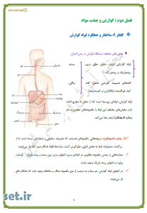 خلاصه و نکات فصل دوم زیست شناسی 1،خلاصه و نکات فصل دوم زیست شناسی دهم،خلاصه فصل دوم زیست شناسی دهم تجربی،جزوه فصل دوم زیست شناسی دهم،جزوه زیست شناسی دهم