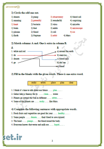 نمونه سوال درس دوم زبان انگلیسی دهم،نمونه سوال زبان انگلیسی دهم،زبان انگلیسی دهم 