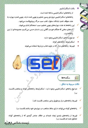 فصل 6: از یاخته تا گیاه